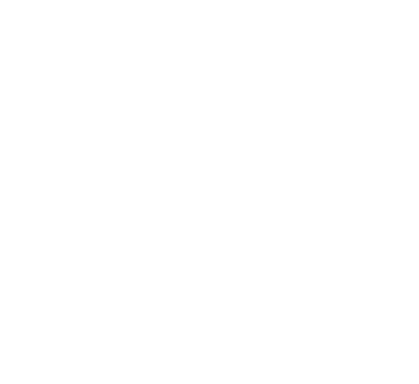 Rock The Mountains